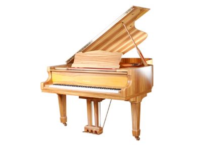 GP-213苹果树柳 158000